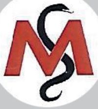 Logo Birger Michel Physiotherapie u. Krankengymnastik