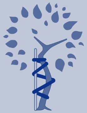 Logo Dr. med. Heinz Mangels u.  Dr. F. Graf Stenbock-Fermor