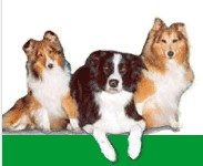 Logo Dr. Daniela Dinse Kleintierpraxis